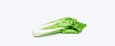 ​春菜是什么菜