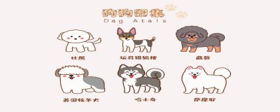​藏獒是什么意思