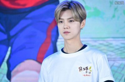 ​鹿晗原名刘壮实的照片 就是一股泥石流啊