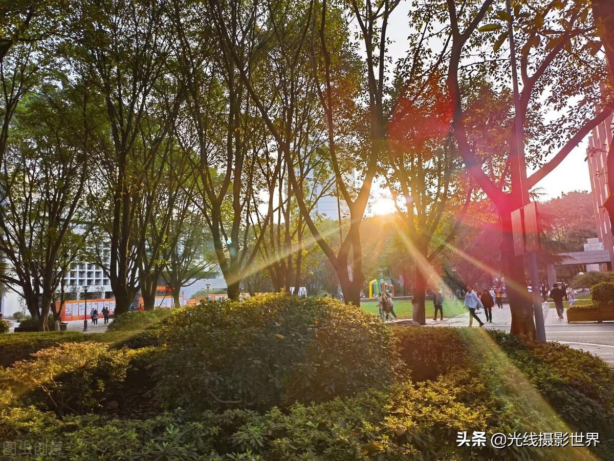 重庆邮电大学进华为的多吗（重庆邮电大学是211吗）(图10)