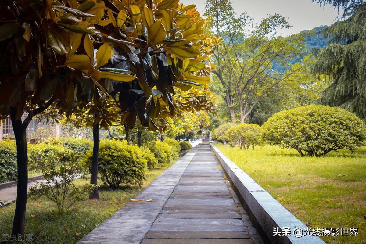重庆邮电大学进华为的多吗（重庆邮电大学是211吗）(图5)