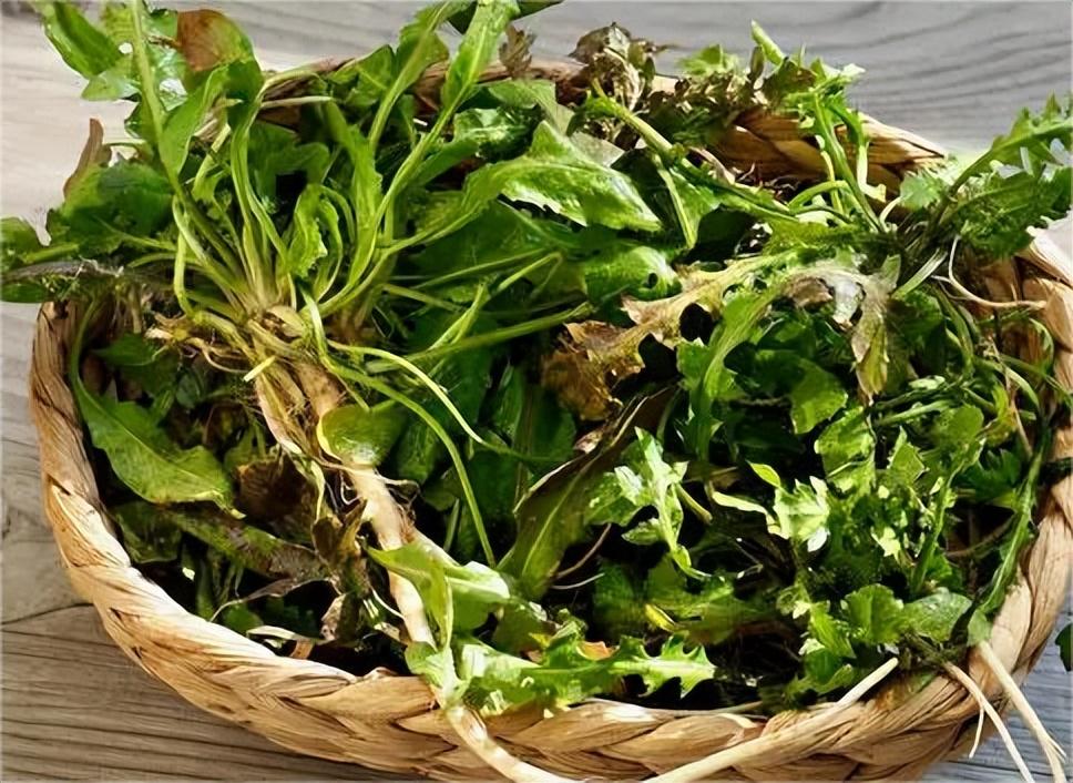 哈尔滨特色美食小吃有哪些（哈尔滨必吃的十大美食）(图10)