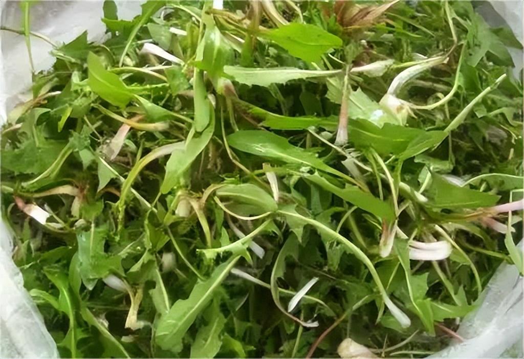 哈尔滨特色美食小吃有哪些（哈尔滨必吃的十大美食）(图9)