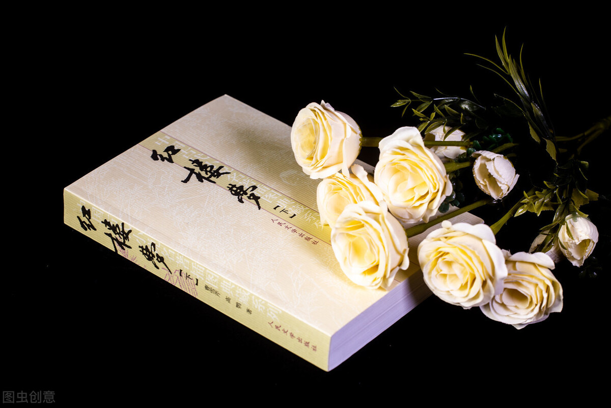 与红楼梦有关的故事名称（红楼梦的别名叫什么）(图3)