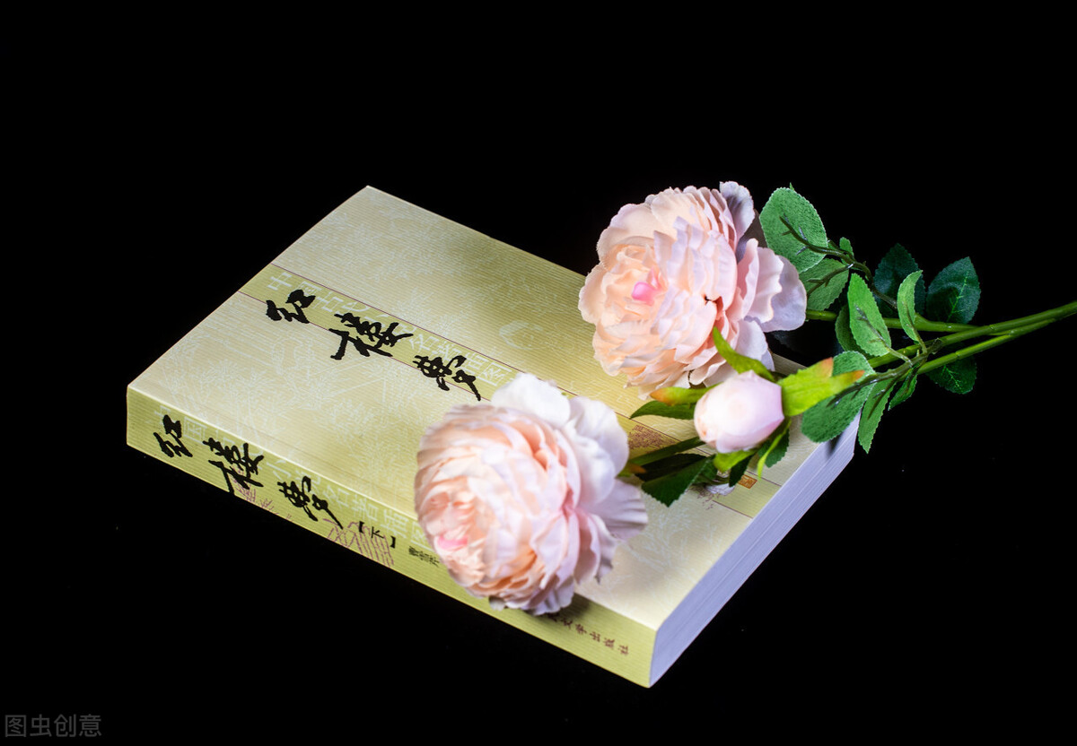 与红楼梦有关的故事名称（红楼梦的别名叫什么）(图4)