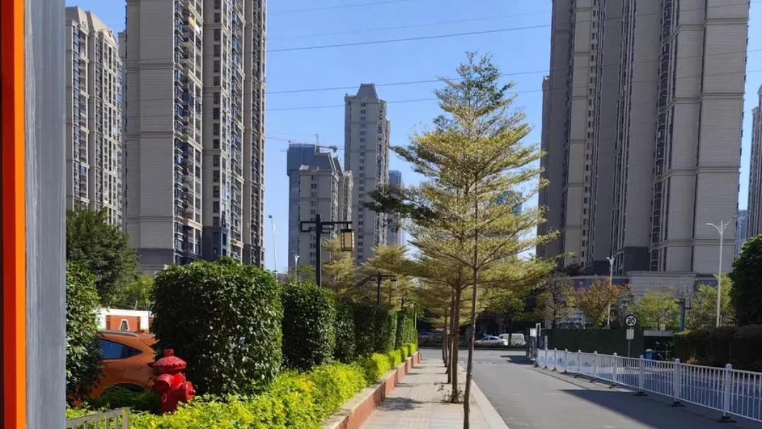 nove8麒麟（华为nova8pro参数配置详情）(图5)