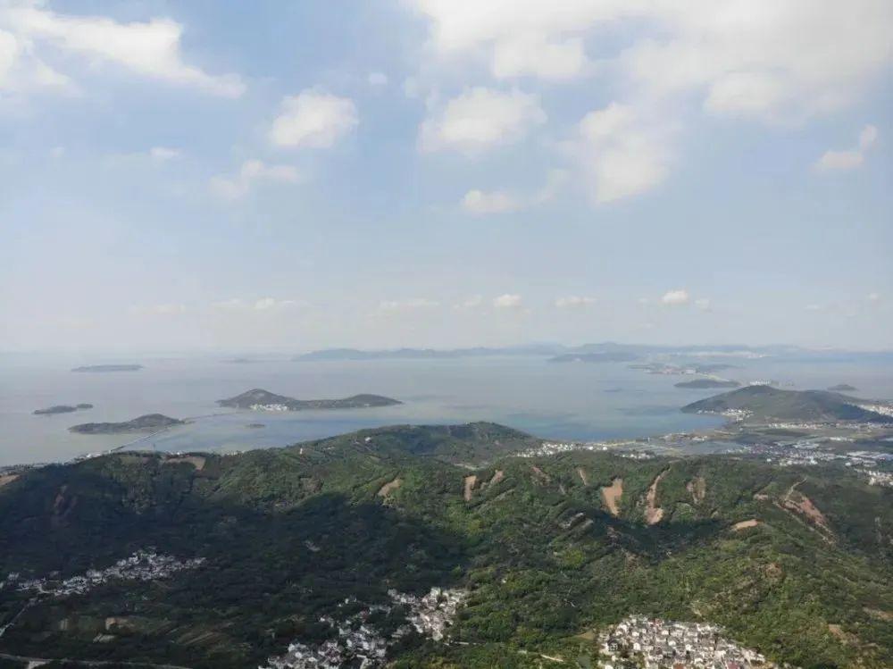 名茶“碧螺春”的产地是哪里（碧螺春茶叶的产地哪里最好）(图5)