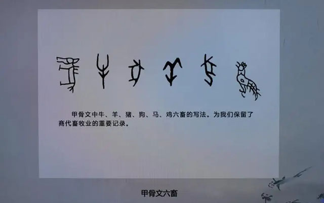六畜兴旺中的六畜指的是哪六畜（六畜是指哪六畜）(图4)