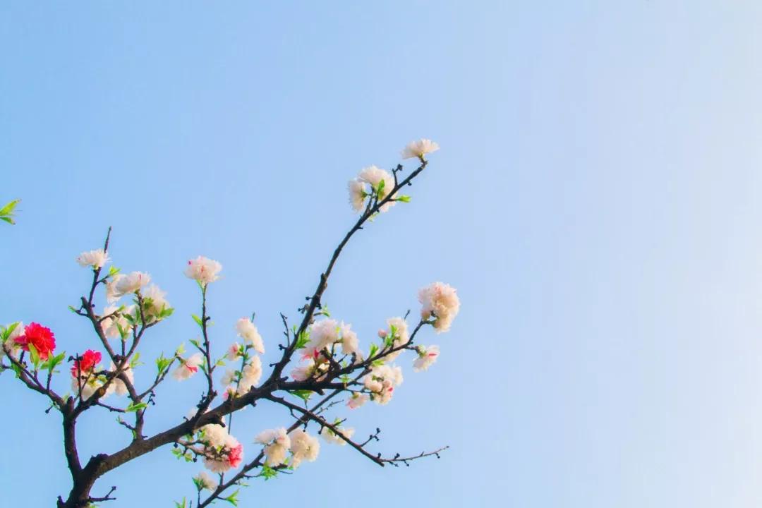 山重水复柳暗花明通常指什么（柳暗花明是什么意思）(图4)