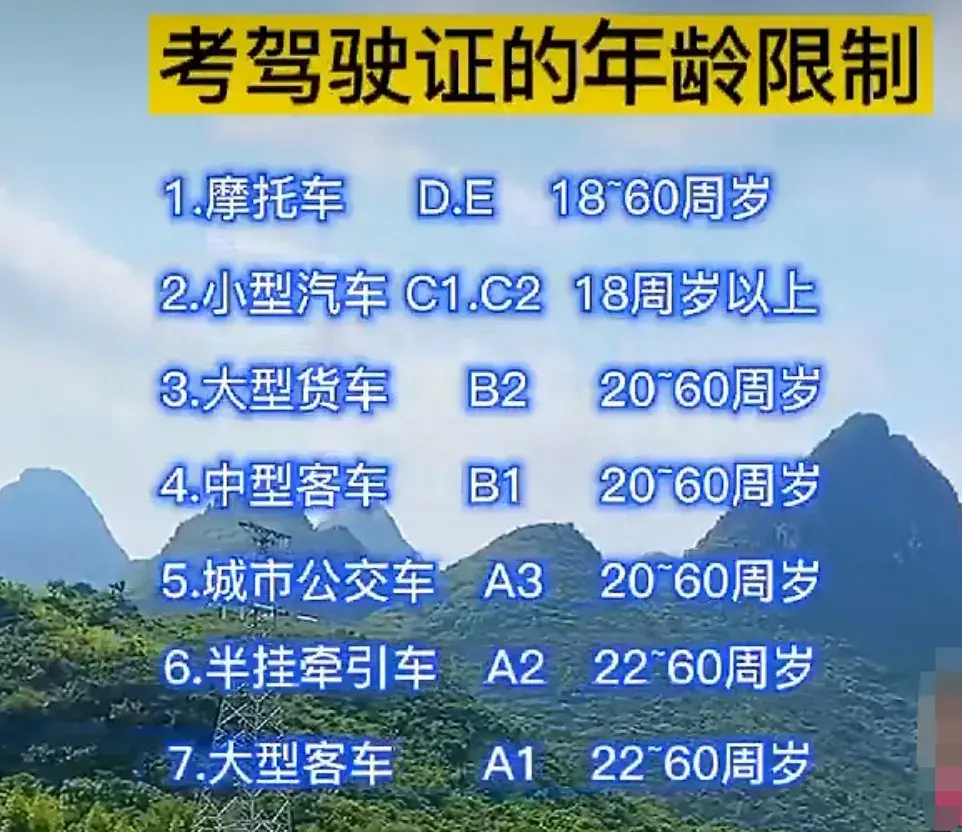什么驾照能开所有车型（什么驾驶证可以开所有车辆）(图2)