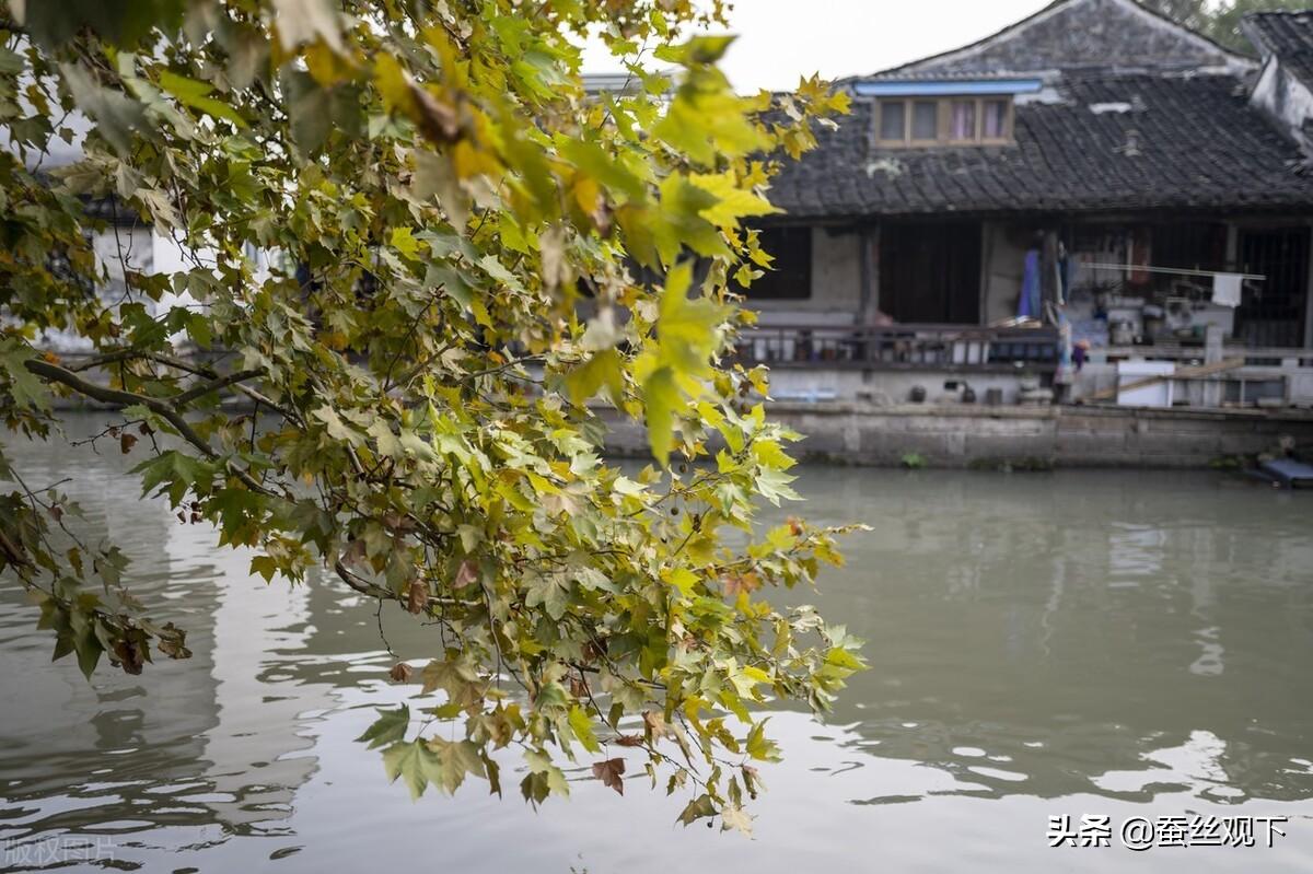 绍兴市属于浙江省哪个市（绍兴属于浙江省哪个市）(图9)