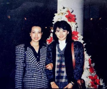 ​胡慧中老公，倪萍和倪大红(倪大红和倪萍关系)