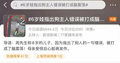 ​路遇不文明遛狗，6 岁男童指出错误反被打？最新消息 ......