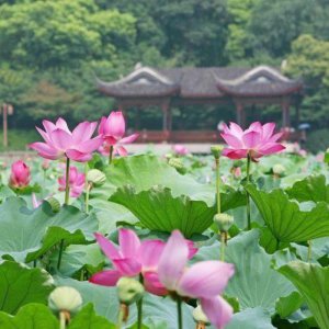 ​聊天打招呼秒回的话，让女人瞬间秒回的聊天开场