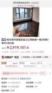 ​知名女歌手两套房产被法拍