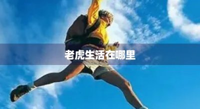 ​老虎生活在哪里(老虎生活在哪里造句)