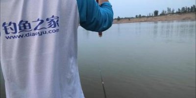 ​自媒体是真的吗(媒体是怎么赚钱的)