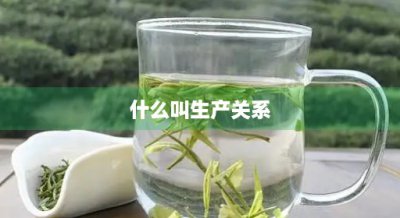 ​什么叫生产关系(什么叫生产关系变革)