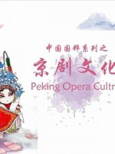 ​京剧是什么(京剧是什么艺术)