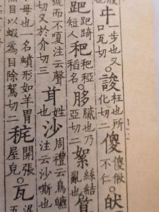 ​nia是什么意思(nias是什么意思)