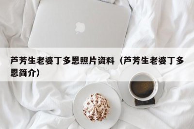 ​芦芳生老婆丁多恩照片资料（芦芳生老婆丁多恩简介）