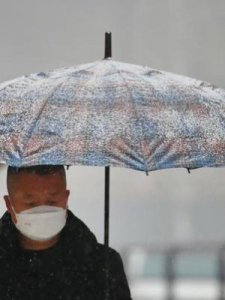 ​沈阳市是哪个省