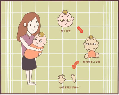 婴儿长相预测(婴儿长相预测功能 云)插图1