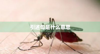 ​引述句是什么意思