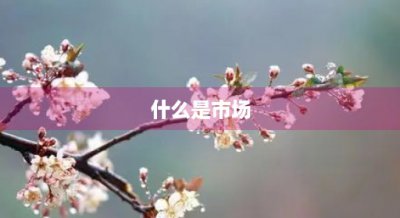 ​什么是市场(什么是市场营销)