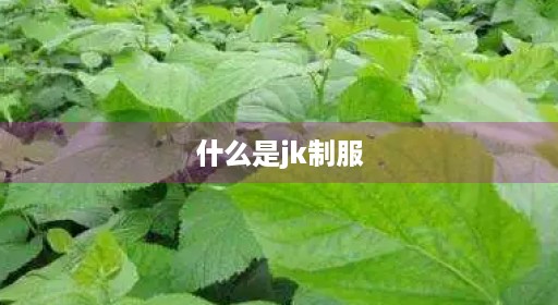 什么是jk制服