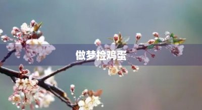 ​做梦捡鸡蛋(做梦捡鸡蛋鸡蛋碎了什么预兆)