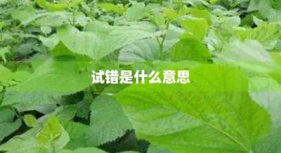 ​试错是什么意思