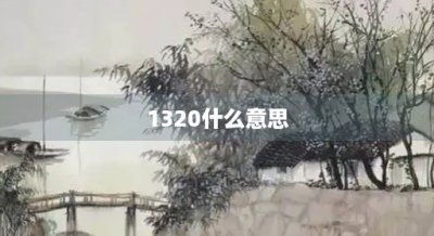 ​1320什么意思(情人节卡点1320什么意思)