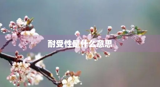 耐受性是什么意思