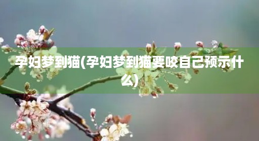孕妇梦到猫(孕妇梦到猫要咬自己预示什么)