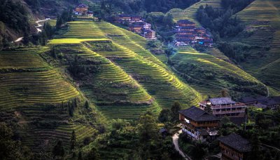 ​壮族歌圩是什么