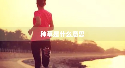 种草是什么成功意思