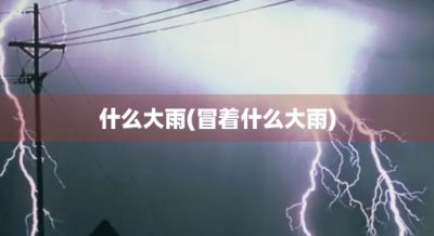 ​什么大雨(冒着什么大雨)
