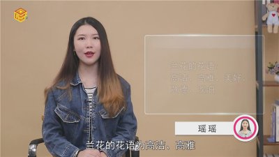 ​兰花的花语是什么