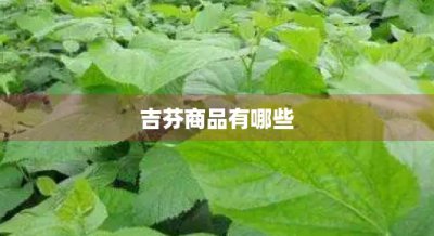 ​吉芬商品有哪些(什么叫吉芬商品)