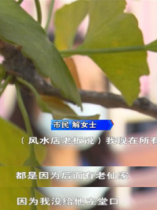 ​立堂口什么意思