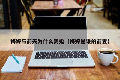 ​梅婷与前夫为什么离婚（梅婷是谁的前妻）