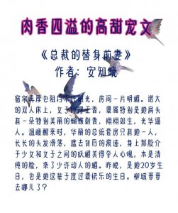 ​肉为主剧情为辅的甜宠文（5本肉香四溢的高甜宠文）
