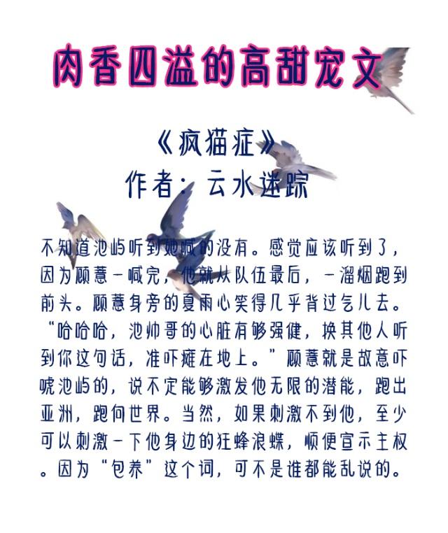 5本肉香四溢的高甜宠文：男主占有欲超强，让你忍不住躲在被窝看