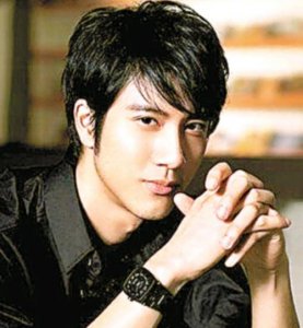 ​王力宏扇刘谦，王力宏道歉(2013年王力宏怒扇刘谦事件)