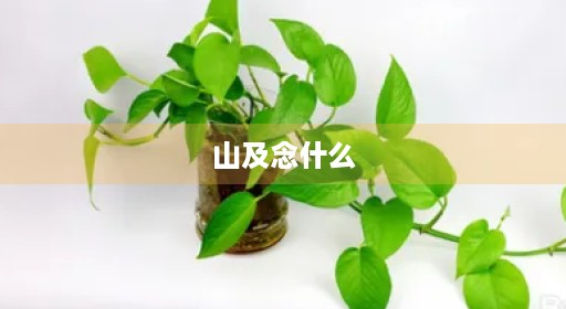 山及念什么
