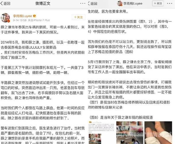 薛之谦事件，薛之谦娶了两次高磊鑫,本文共（4841字）