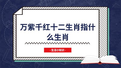 ​万紫千红十二生肖指什么生肖