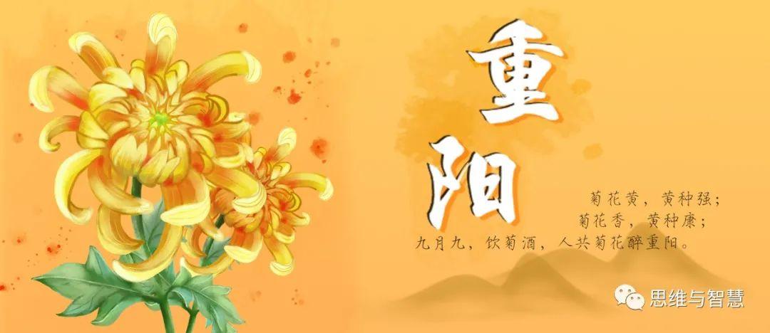 九月九日是什么日子（重阳节的由来及习俗）