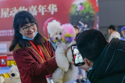 ​宠物店市场分析数据报告(宠物店未来的前景如何)